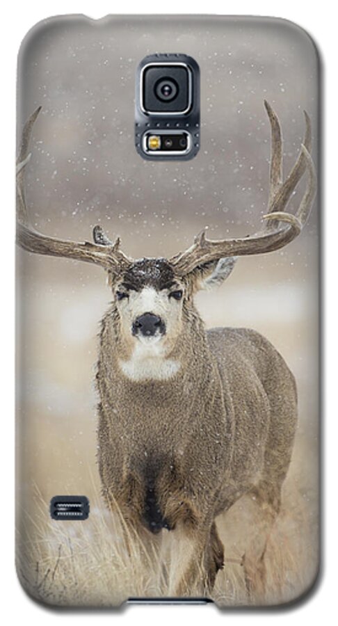 Snow Galaxy S5 Case featuring the photograph Big Sky on Snowy Day by D Robert Franz