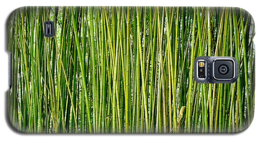 Biltmore Galaxy S5 Case featuring the photograph Biltmore Bamboo by Jon Exley