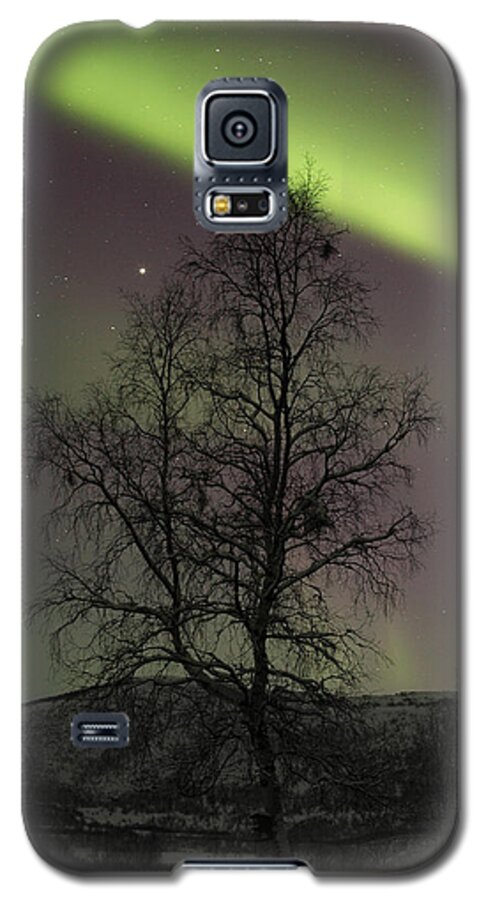 Birch Galaxy S5 Case featuring the photograph Birch with a Bird House by Pekka Sammallahti