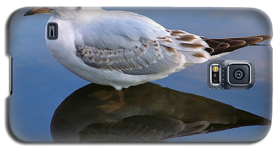 Bird Galaxy S5 Case featuring the photograph Bird Reflections by John Swartz