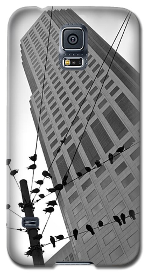 City Galaxy S5 Case featuring the photograph Birds Station by Jonathan Nguyen