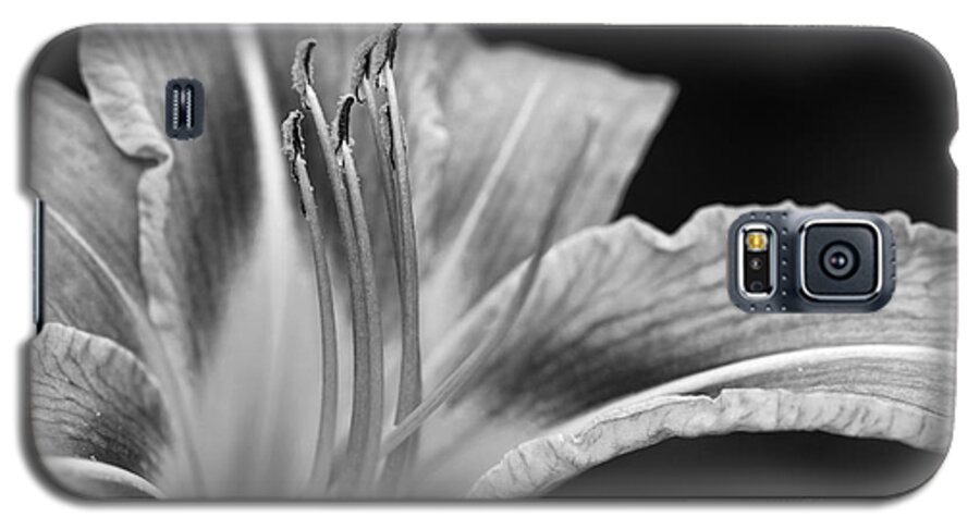 Flower Galaxy S5 Case featuring the photograph Black and white Daylily flower by Martin Capek