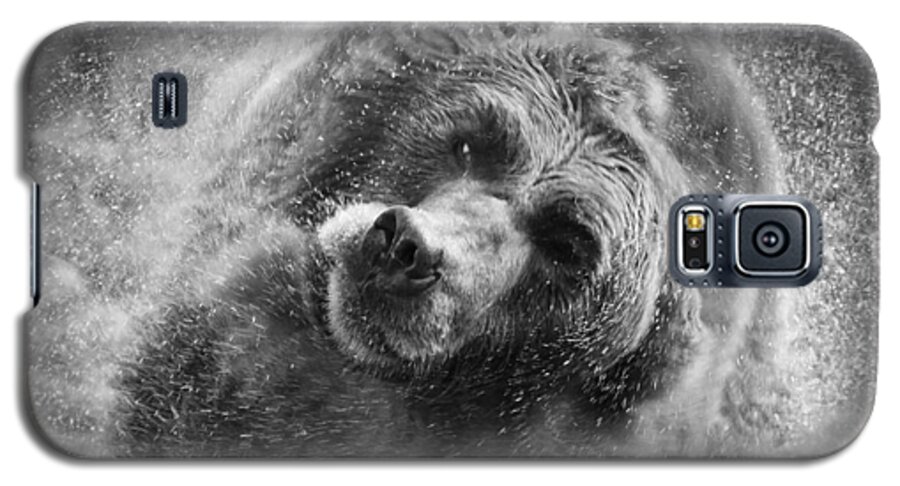 Animals Galaxy S5 Case featuring the photograph Black and White Grizzly by Steve McKinzie