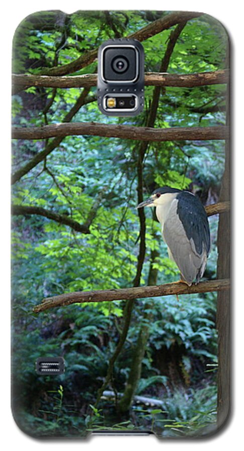 Heron Galaxy S5 Case featuring the photograph Black-Crowned Night Heron by Ben Upham III