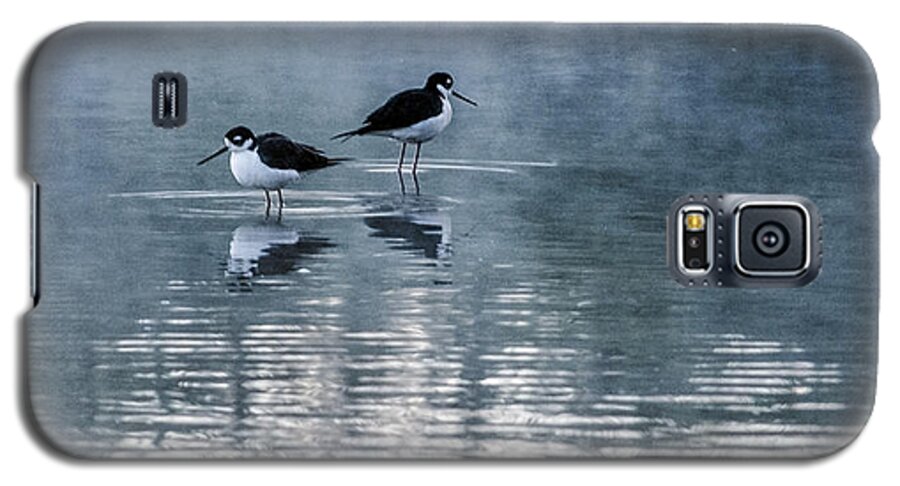 Black-necked Stilts Galaxy S5 Case featuring the photograph Black-Necked Stilts by Tam Ryan