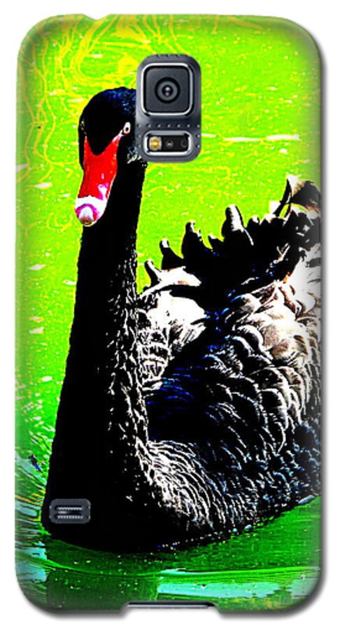Swans Galaxy S5 Case featuring the photograph Black Swan by John King I I I