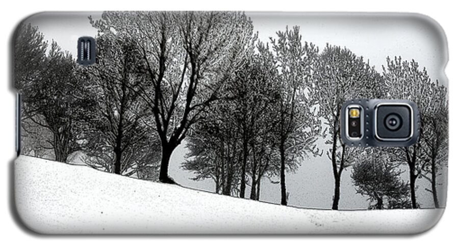 Winter Galaxy S5 Case featuring the photograph Black Trees by Randi Grace Nilsberg