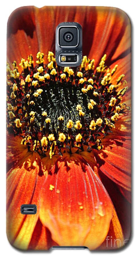  Galaxy S5 Case featuring the photograph Blazing Sunflower by Sharron Cuthbertson