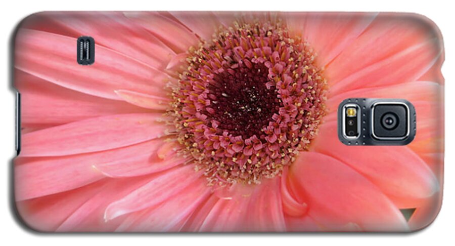 Flower Galaxy S5 Case featuring the photograph Bliss by Rory Siegel
