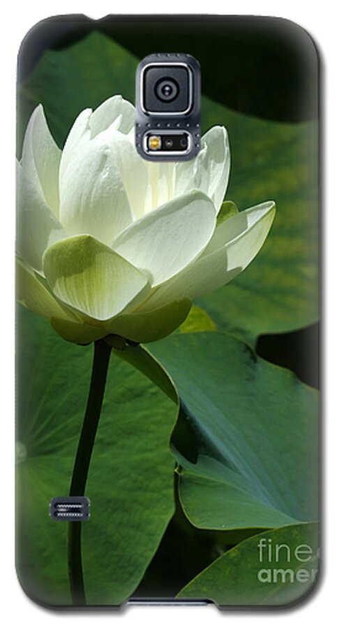 Macro Galaxy S5 Case featuring the photograph Blooming White Lotus by Sabrina L Ryan