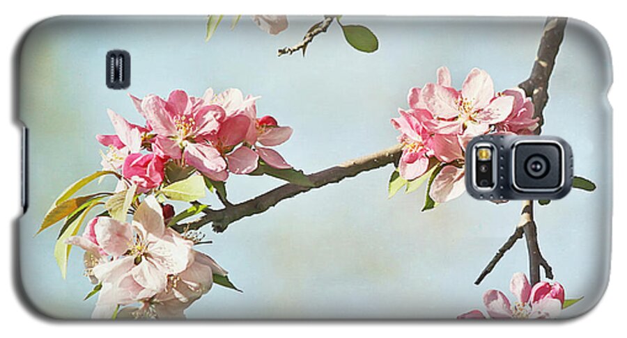 Nature Galaxy S5 Case featuring the photograph Blossom Branch by Kim Hojnacki