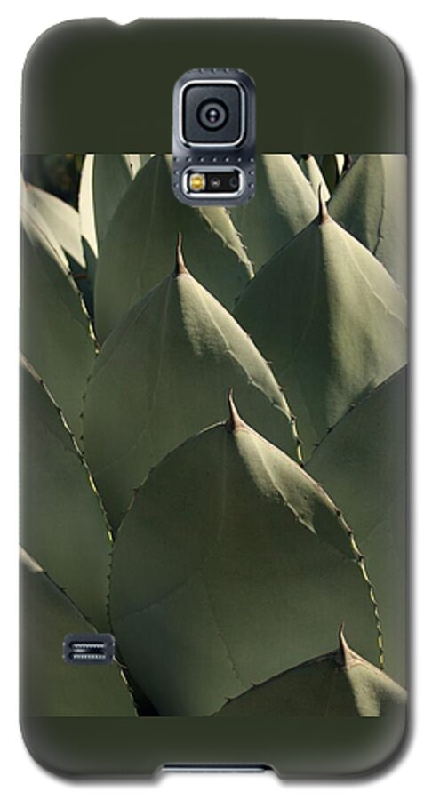 Blue Aloe Galaxy S5 Case featuring the photograph Blue Aloe by Ellen Henneke