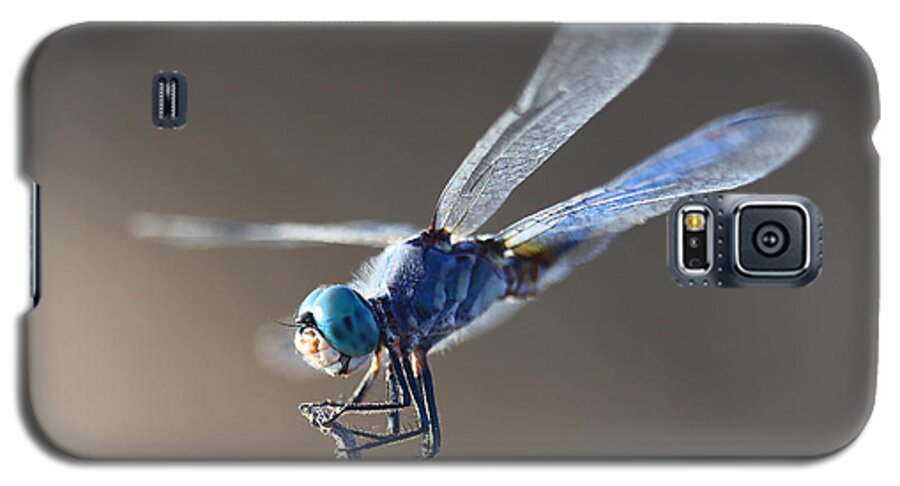 Dragonfly Galaxy S5 Case featuring the photograph Blue Dragonfly by Dusty Wynne