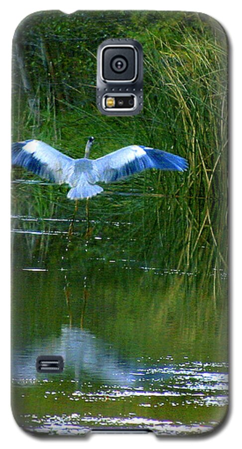 Bird Galaxy S5 Case featuring the photograph Blue Heron by Matalyn Gardner