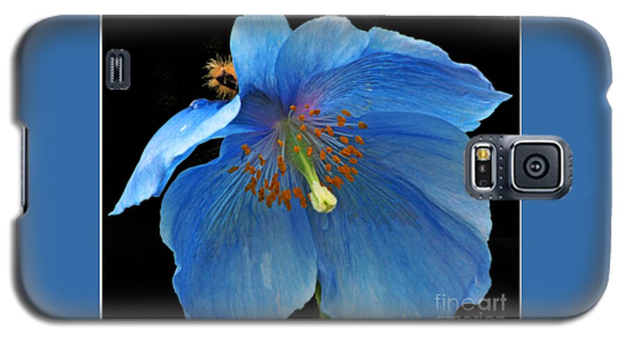 Rhododendron Species Foundation Galaxy S5 Case featuring the photograph Blue Poppy on Black by Chris Anderson