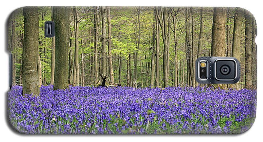 Bluebells Surrey England Uk Bluebell Wood British Flowers Countryside Landscape British English Blue Woodland Forest Trees Beech Galaxy S5 Case featuring the photograph Bluebells Surrey England UK by Julia Gavin