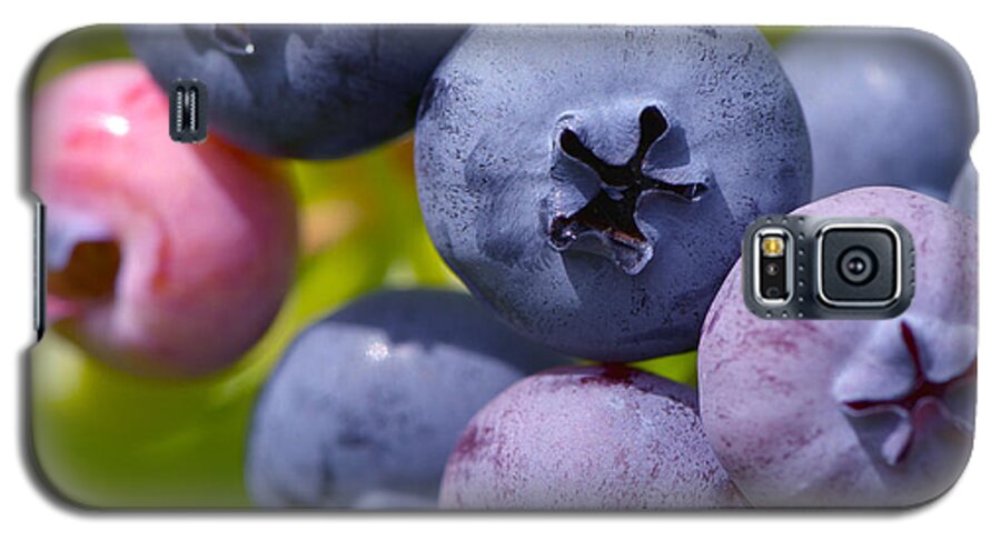Blueberry Galaxy S5 Case featuring the photograph Blueberries by Sharon Talson