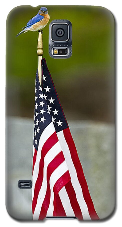 American Flag Galaxy S5 Case featuring the photograph Bluebird Perched on American Flag by John Vose