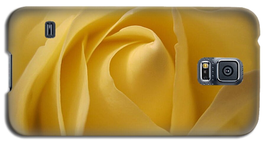 Floral Galaxy S5 Case featuring the photograph Blushing Cream Rose by Tara Shalton
