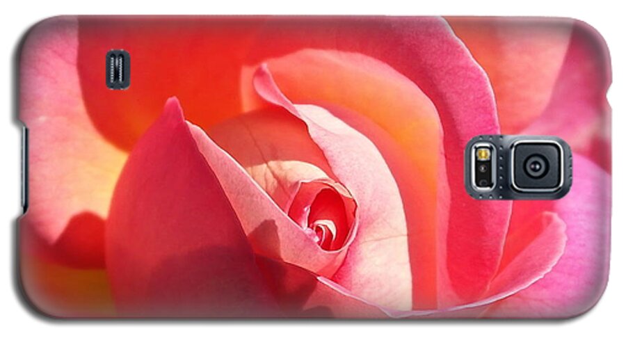Rose Galaxy S5 Case featuring the photograph Blushing Rose by Michele Myers