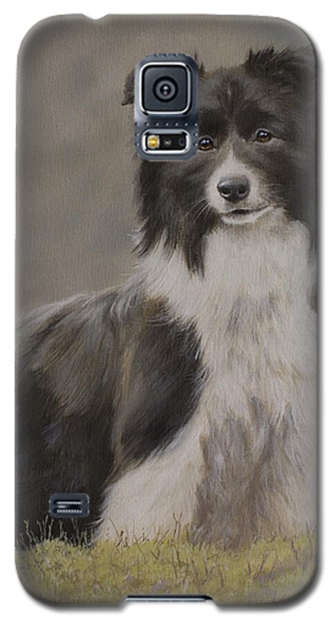 Border Collie Galaxy S5 Case featuring the painting Border Collie portrait VIII by John Silver