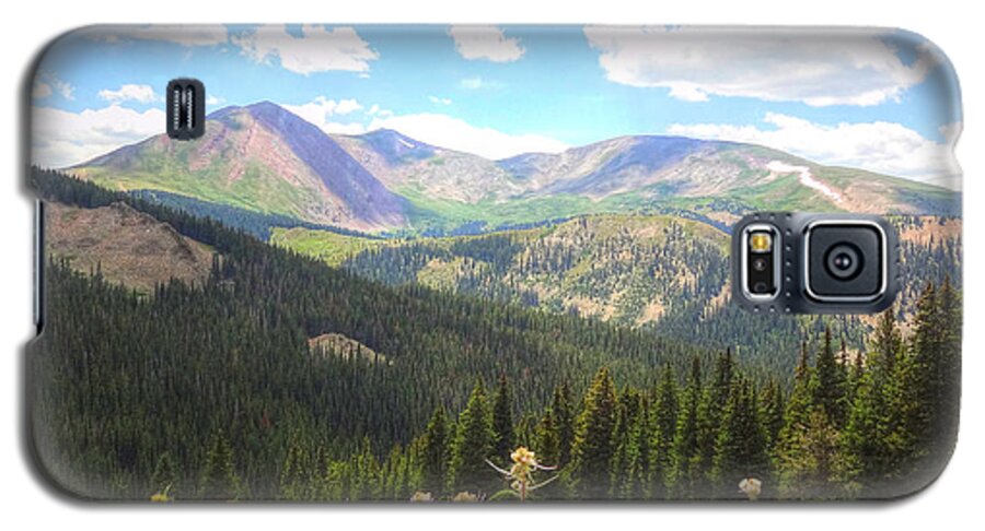 Landscape Galaxy S5 Case featuring the photograph Boreas Pass Summer by Lanita Williams
