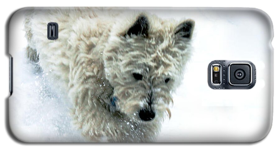 Dog Galaxy S5 Case featuring the digital art Bounding Baby Boy by Susan Vineyard