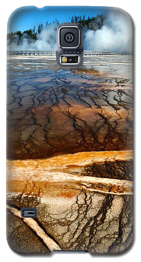 Midway Geyser Basin Galaxy S5 Case featuring the photograph Branches of Life by Tranquil Light Photography