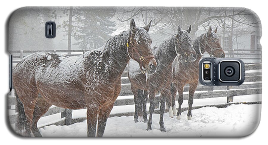 Horses Galaxy S5 Case featuring the photograph Braving the Storm by Gary Hall