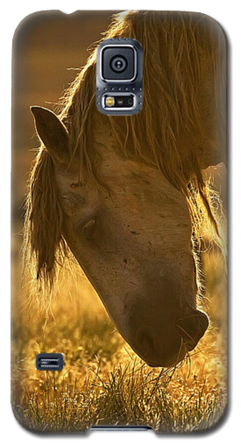 Wild Horse Galaxy S5 Case featuring the photograph Breakfast - Signed by J L Woody Wooden