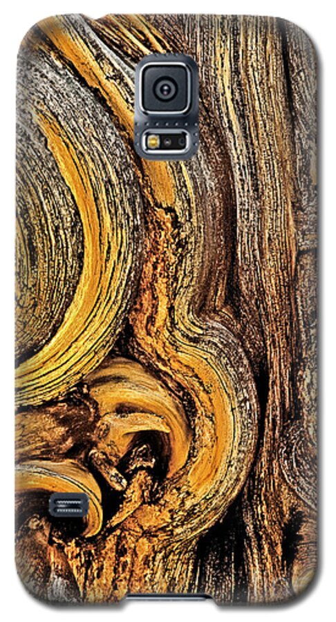 Bristlecone Pine Galaxy S5 Case featuring the photograph Bristlecone Pine Bark Detail White Mountains CA by Dave Welling