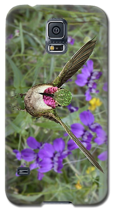 Bird Galaxy S5 Case featuring the photograph Broad-Tailed Hummingbird - Phone Case by Gregory Scott
