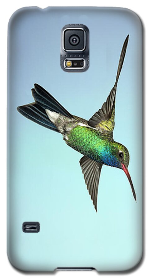 Arizona Galaxy S5 Case featuring the photograph Broadbilled Hummingbird - Phone Case Design by Gregory Scott
