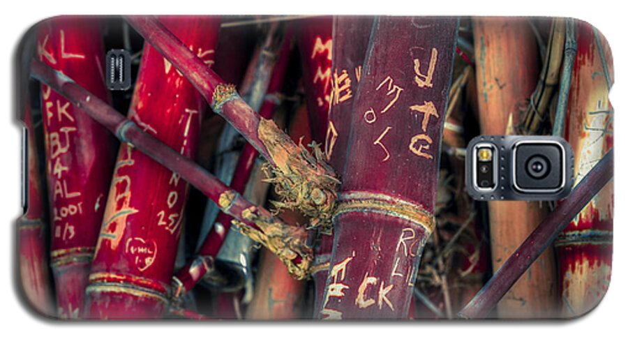 Bamboo Galaxy S5 Case featuring the photograph Broken Promises by Wayne Sherriff