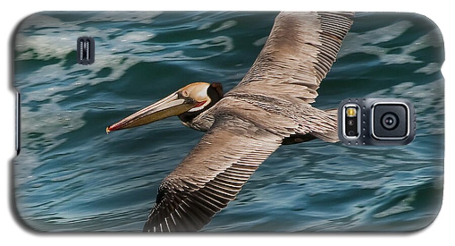 Photography Galaxy S5 Case featuring the photograph Brown Pelican Flying 1 by Lee Kirchhevel