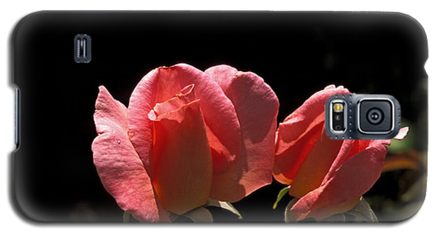Roses Galaxy S5 Case featuring the photograph Buds by John Douglas