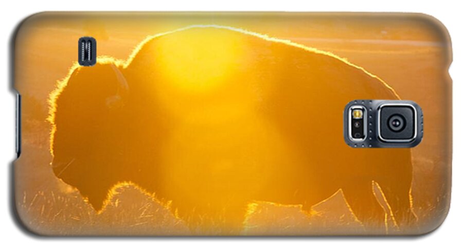 Buffalo Galaxy S5 Case featuring the photograph Buffalo Sunrise by Kevin Bone