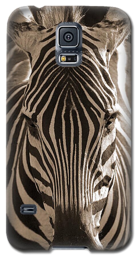 Zebra Galaxy S5 Case featuring the photograph Burchell's Zebra by Chris Scroggins