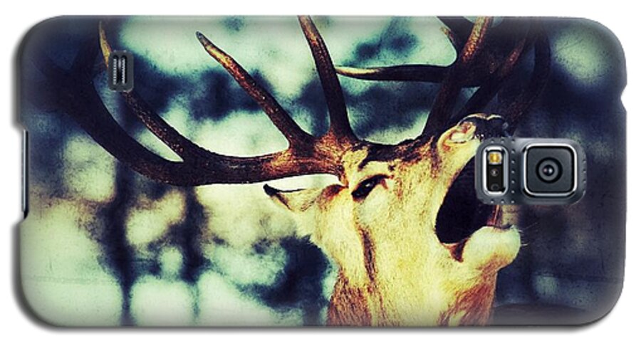 Burling Galaxy S5 Case featuring the photograph Burling Deer by Nick Biemans
