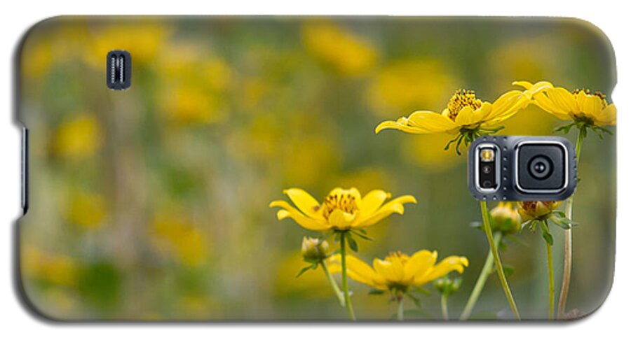 Burrmarigold Galaxy S5 Case featuring the photograph Burrmarigold by Paul Rebmann