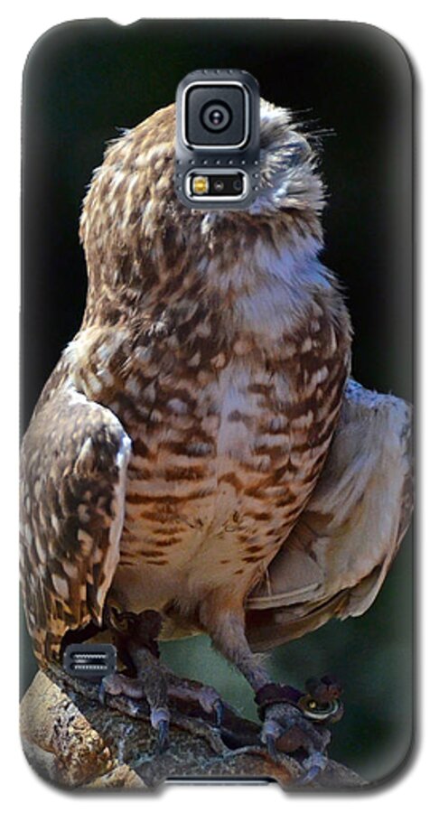 Burrowing Owl Galaxy S5 Case featuring the photograph Burrowing Owl by Debby Pueschel