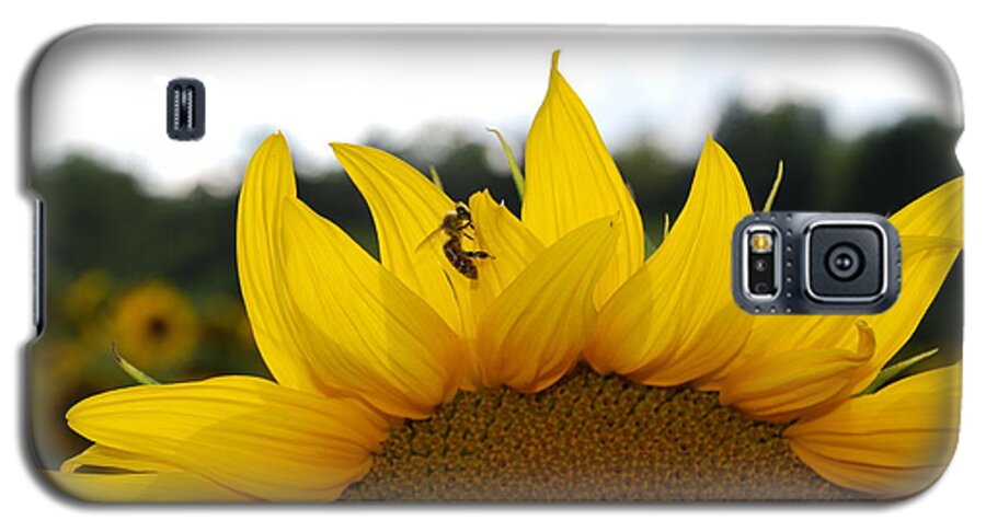 Ankya Klay Galaxy S5 Case featuring the photograph Busy Bee by Ankya Klay