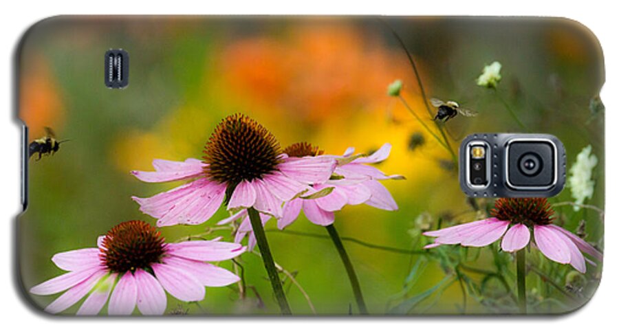 Garden Galaxy S5 Case featuring the photograph Busy Morning by Mary Amerman