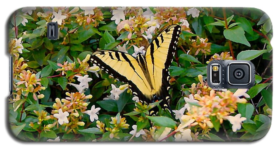 Yellow Galaxy S5 Case featuring the photograph Butterflies are free by Roseann Errigo