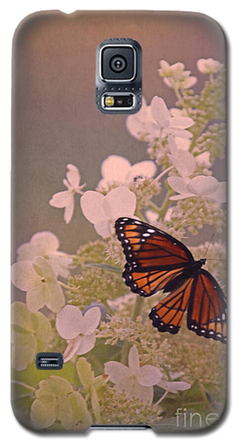 Viceroy Butterfly. White Flower Galaxy S5 Case featuring the photograph Butterfly Glow by Elizabeth Winter