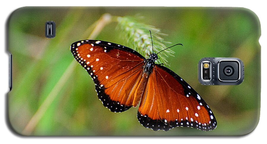 Butterfly Galaxy S5 Case featuring the photograph Butterfly by John Johnson