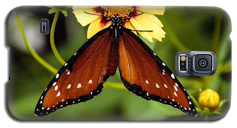 Butterfly Galaxy S5 Case featuring the photograph Butterfly on Coreopsis by Cathy Donohoue