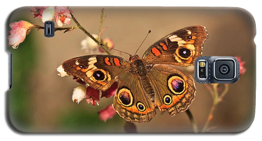 Butterfly Galaxy S5 Case featuring the photograph Butterfly On Pink by Beth Sargent