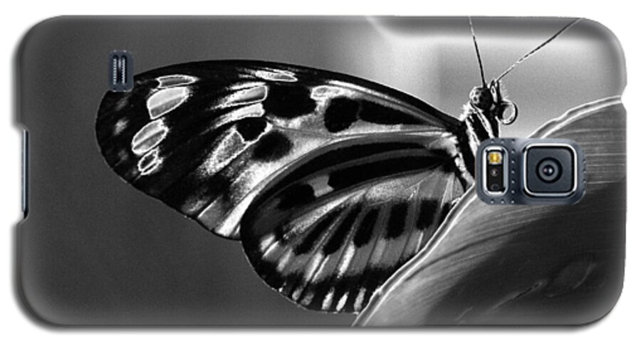 Solarization Galaxy S5 Case featuring the photograph Butterfly Solarized by Ron White
