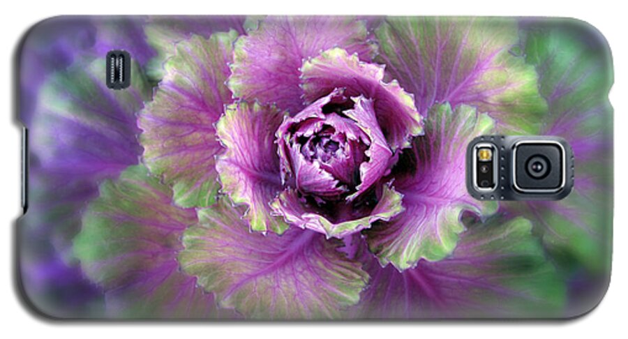 Detail Galaxy S5 Case featuring the photograph Cabbage Flower by Jessica Jenney